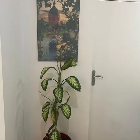 Zenith Charm Of Barry Gardens- Private Parking