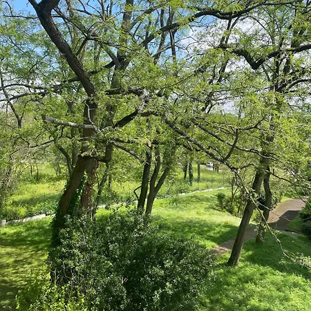 Daire Zenith Charm Of Barry Gardens- Private Parking *